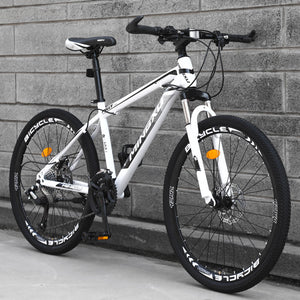 21/24 Speed 24/26 Inch Folding Spoke Wheels Adult Mountain Bike